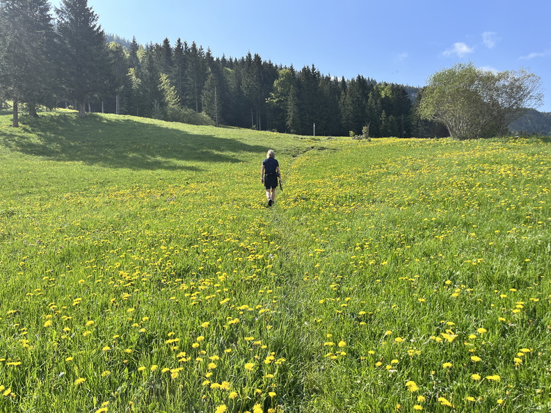 23-05-23 09-52-59 5567